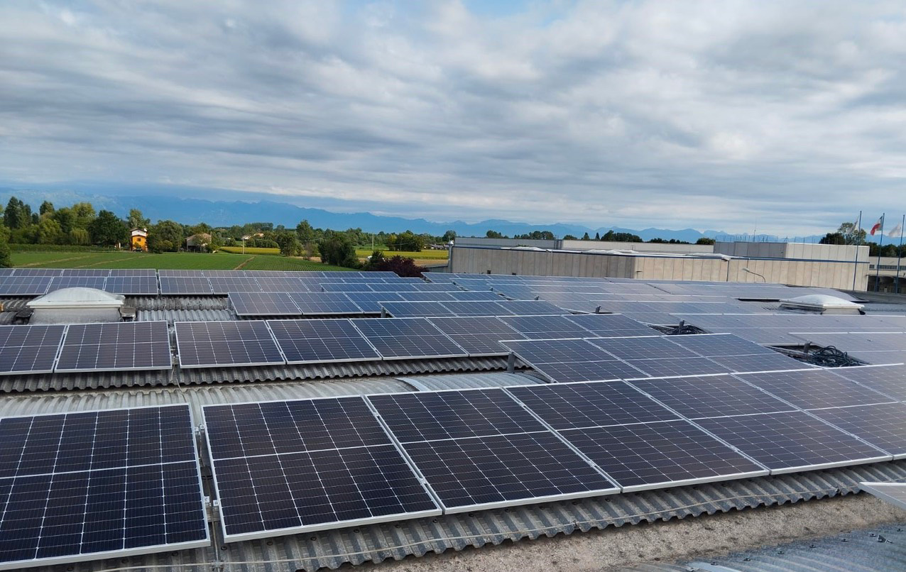 ICRO verso la sostenibilità: 700 alberi per il nostro pianeta! 